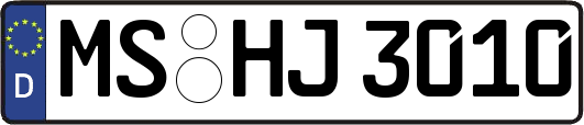 MS-HJ3010