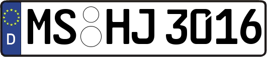 MS-HJ3016