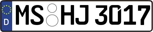 MS-HJ3017