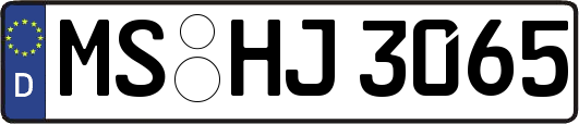 MS-HJ3065