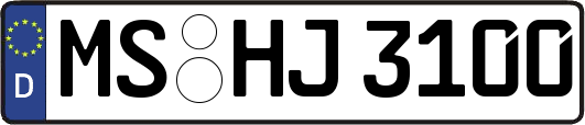 MS-HJ3100
