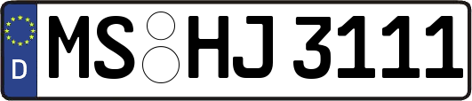 MS-HJ3111