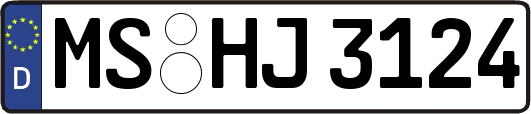 MS-HJ3124