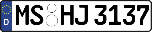 MS-HJ3137