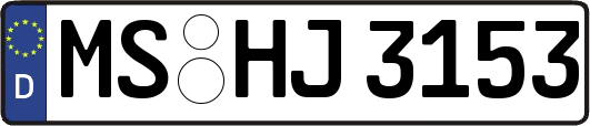 MS-HJ3153