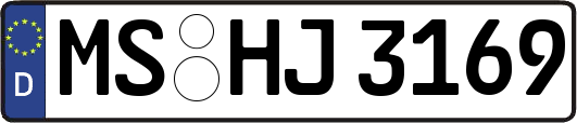 MS-HJ3169