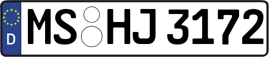 MS-HJ3172