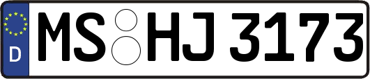 MS-HJ3173