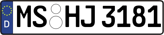 MS-HJ3181