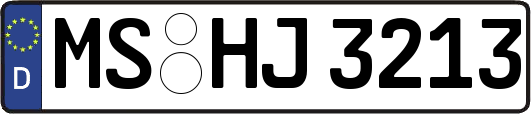MS-HJ3213