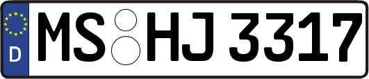 MS-HJ3317