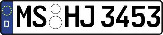 MS-HJ3453
