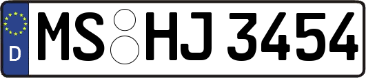 MS-HJ3454
