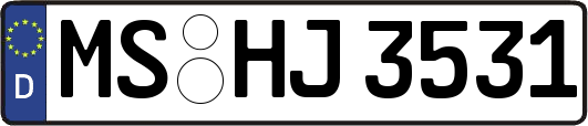 MS-HJ3531