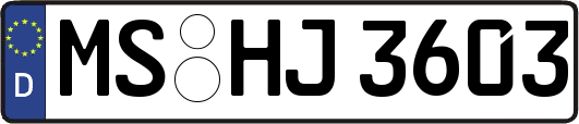 MS-HJ3603