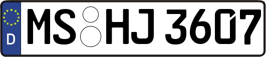 MS-HJ3607