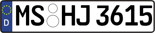 MS-HJ3615
