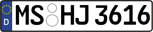 MS-HJ3616