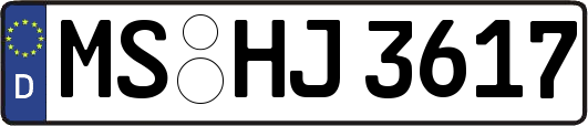 MS-HJ3617
