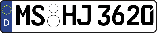 MS-HJ3620
