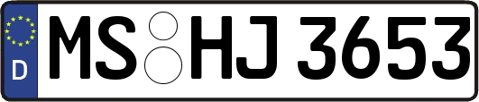 MS-HJ3653