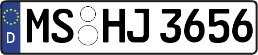 MS-HJ3656