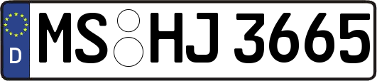 MS-HJ3665