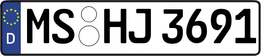 MS-HJ3691