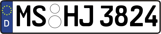 MS-HJ3824