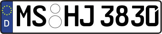 MS-HJ3830