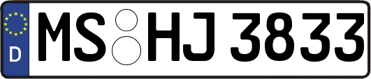 MS-HJ3833