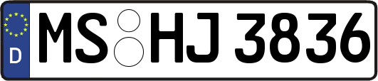 MS-HJ3836