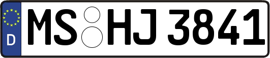 MS-HJ3841