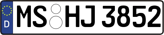 MS-HJ3852