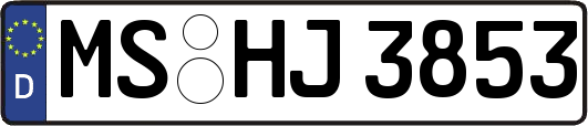 MS-HJ3853