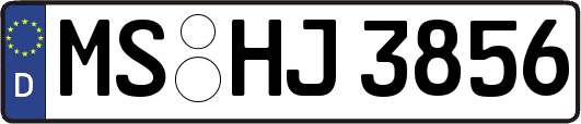 MS-HJ3856