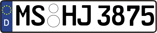 MS-HJ3875