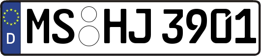 MS-HJ3901
