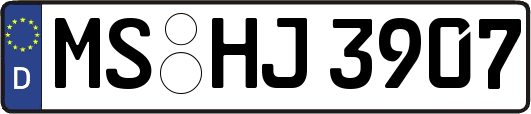 MS-HJ3907