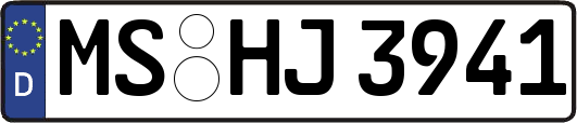 MS-HJ3941
