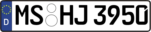 MS-HJ3950