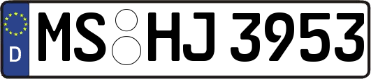 MS-HJ3953