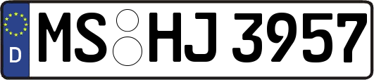 MS-HJ3957