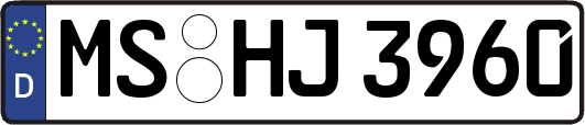 MS-HJ3960