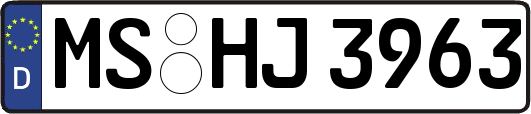 MS-HJ3963
