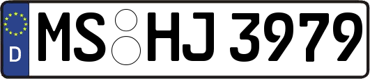 MS-HJ3979