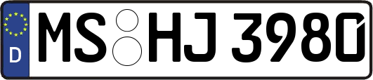 MS-HJ3980