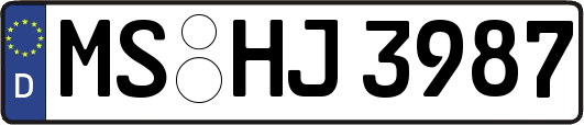 MS-HJ3987