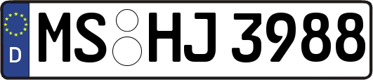 MS-HJ3988