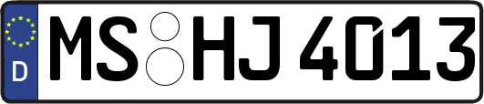 MS-HJ4013